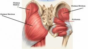 hip tendonitis